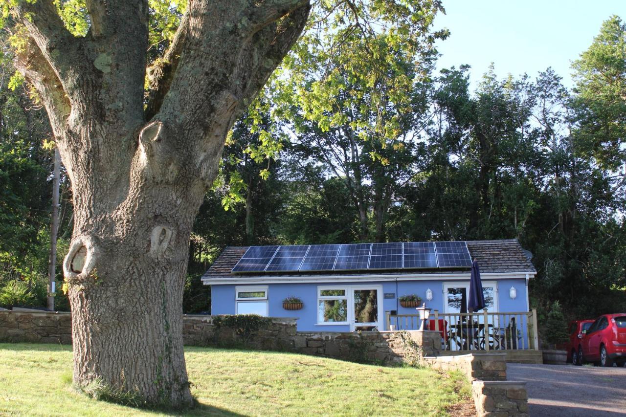 Appartamento Bronllys Farm Coastal Self-Catering Llanelli Esterno foto